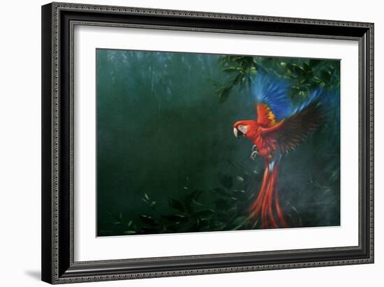 Scarlet Macaw 2-Michael Jackson-Framed Giclee Print