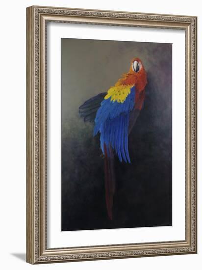 Scarlet macaw 3, 2014-Odile Kidd-Framed Giclee Print