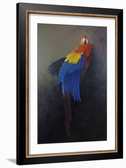 Scarlet macaw 3, 2014-Odile Kidd-Framed Giclee Print