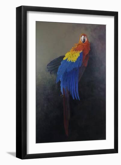Scarlet macaw 3, 2014-Odile Kidd-Framed Giclee Print