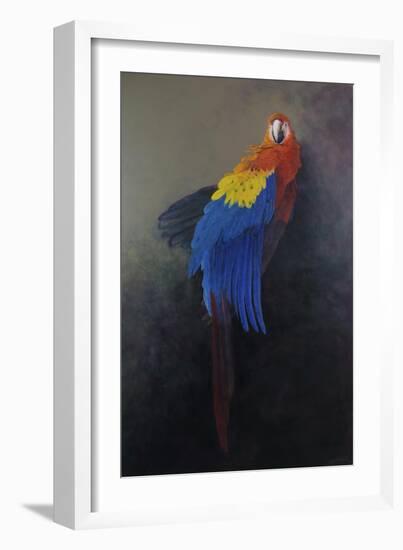 Scarlet macaw 3, 2014-Odile Kidd-Framed Giclee Print