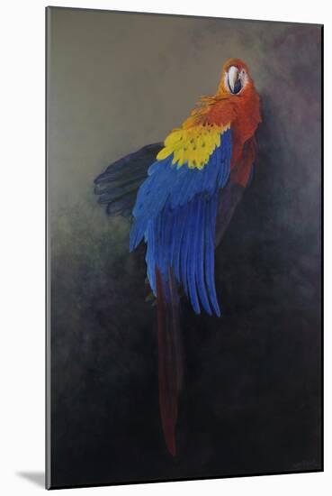 Scarlet macaw 3, 2014-Odile Kidd-Mounted Giclee Print