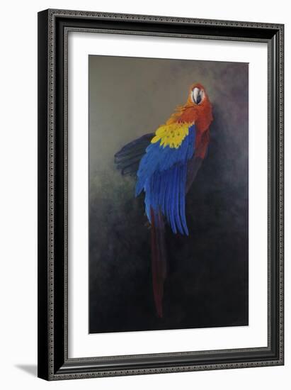Scarlet macaw 3, 2014-Odile Kidd-Framed Giclee Print