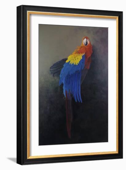 Scarlet macaw 3, 2014-Odile Kidd-Framed Giclee Print