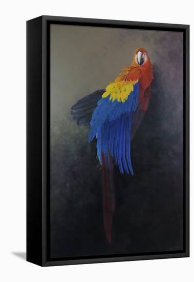 Scarlet macaw 3, 2014-Odile Kidd-Framed Premier Image Canvas