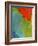 Scarlet Macaw (Ara Macao), Argentina-Andres Morya Hinojosa-Framed Photographic Print