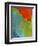 Scarlet Macaw (Ara Macao), Argentina-Andres Morya Hinojosa-Framed Photographic Print