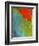 Scarlet Macaw (Ara Macao), Argentina-Andres Morya Hinojosa-Framed Photographic Print