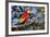 Scarlet Macaw, Costa Rica-null-Framed Photographic Print