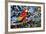 Scarlet Macaw, Costa Rica-null-Framed Photographic Print