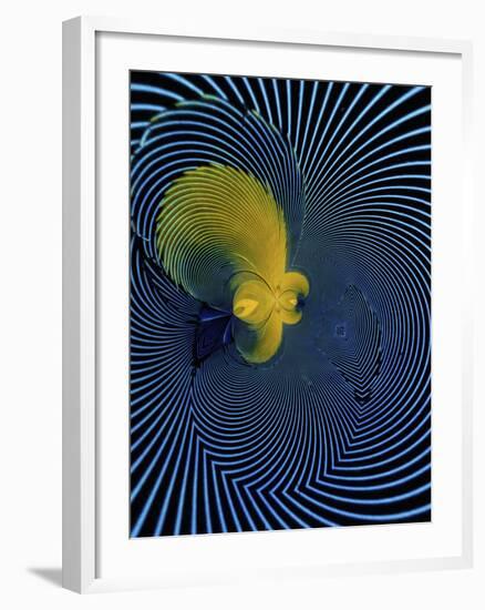 Scarlet Macaw Feather Pattern-Adam Jones-Framed Photographic Print