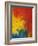 Scarlet Macaw Feathers-Bob Krist-Framed Photographic Print