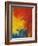 Scarlet Macaw Feathers-Bob Krist-Framed Photographic Print