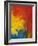 Scarlet Macaw Feathers-Bob Krist-Framed Photographic Print