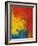 Scarlet Macaw Feathers-Bob Krist-Framed Photographic Print