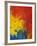 Scarlet Macaw Feathers-Bob Krist-Framed Photographic Print