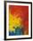 Scarlet Macaw Feathers-Bob Krist-Framed Photographic Print