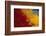 Scarlet Macaw Feathers-DLILLC-Framed Photographic Print