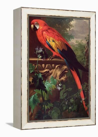 Scarlet Macaw in a Landscape-Jakob Bogdani Or Bogdany-Framed Premier Image Canvas
