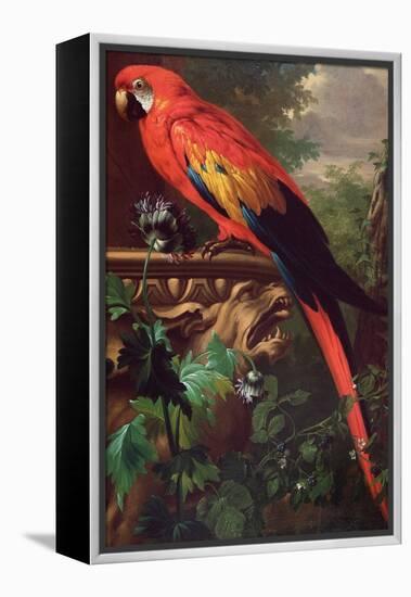 Scarlet Macaw in a Landscape-Jakob Bogdani Or Bogdany-Framed Premier Image Canvas