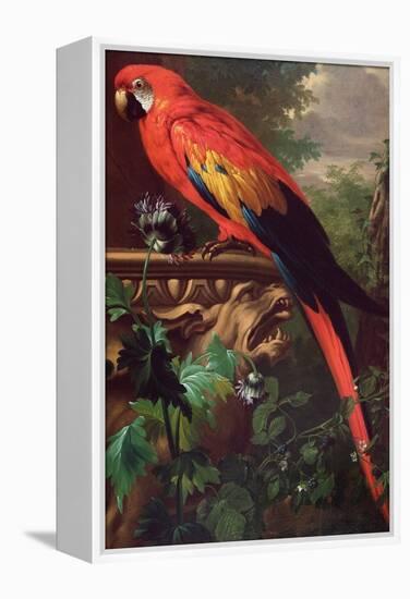 Scarlet Macaw in a Landscape-Jakob Bogdani Or Bogdany-Framed Premier Image Canvas