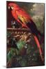 Scarlet Macaw in a Landscape-Jakob Bogdani Or Bogdany-Mounted Premium Giclee Print