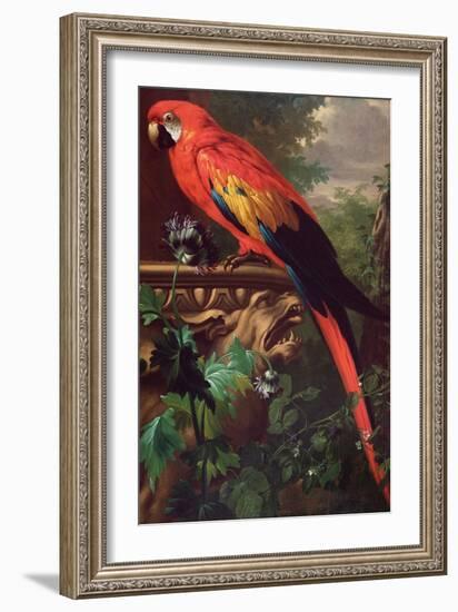 Scarlet Macaw in a Landscape-Jakob Bogdani Or Bogdany-Framed Giclee Print