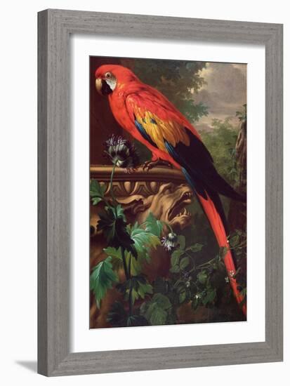 Scarlet Macaw in a Landscape-Jakob Bogdani Or Bogdany-Framed Giclee Print