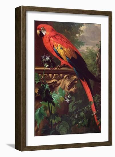 Scarlet Macaw in a Landscape-Jakob Bogdani Or Bogdany-Framed Giclee Print