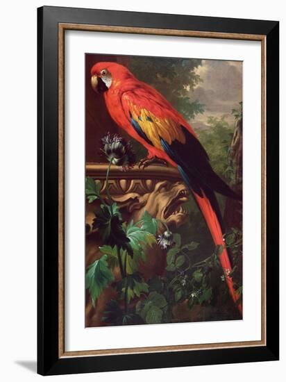 Scarlet Macaw in a Landscape-Jakob Bogdani Or Bogdany-Framed Giclee Print