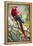 Scarlet Macaw on a Branch-Howard Ruby-Framed Premier Image Canvas