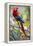 Scarlet Macaw on a Branch-Howard Ruby-Framed Premier Image Canvas