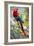 Scarlet Macaw on a Branch-Howard Ruby-Framed Photographic Print