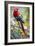 Scarlet Macaw on a Branch-Howard Ruby-Framed Photographic Print