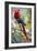 Scarlet Macaw on a Branch-Howard Ruby-Framed Photographic Print