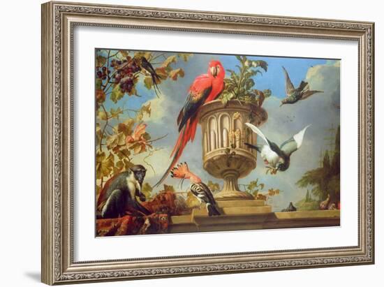 Scarlet Macaw Perched on an Urn, with Other Birds and a Monkey Eating Grapes-Melchior de Hondecoeter-Framed Giclee Print