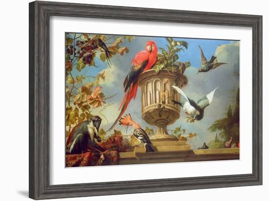 Scarlet Macaw Perched on an Urn, with Other Birds and a Monkey Eating Grapes-Melchior de Hondecoeter-Framed Giclee Print