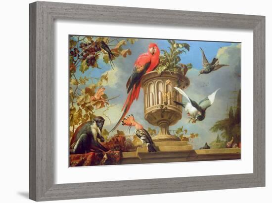 Scarlet Macaw Perched on an Urn, with Other Birds and a Monkey Eating Grapes-Melchior de Hondecoeter-Framed Giclee Print