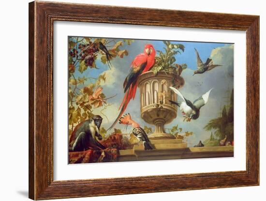 Scarlet Macaw Perched on an Urn, with Other Birds and a Monkey Eating Grapes-Melchior de Hondecoeter-Framed Giclee Print