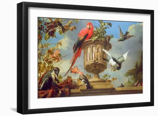 Scarlet Macaw Perched on an Urn, with Other Birds and a Monkey Eating Grapes-Melchior de Hondecoeter-Framed Giclee Print