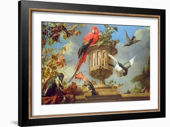 Scarlet Macaw Perched on an Urn, with Other Birds and a Monkey Eating Grapes-Melchior de Hondecoeter-Framed Giclee Print