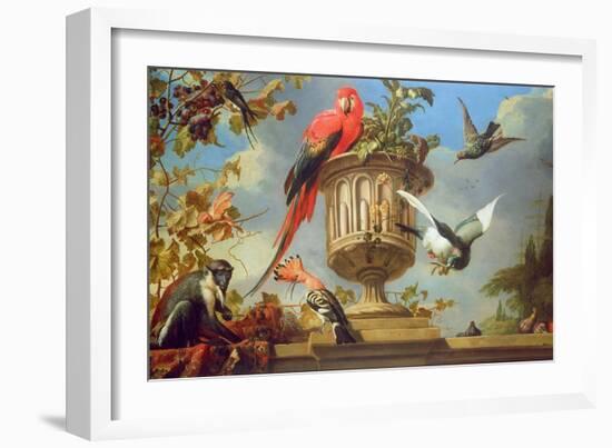 Scarlet Macaw Perched on an Urn, with Other Birds and a Monkey Eating Grapes-Melchior de Hondecoeter-Framed Giclee Print