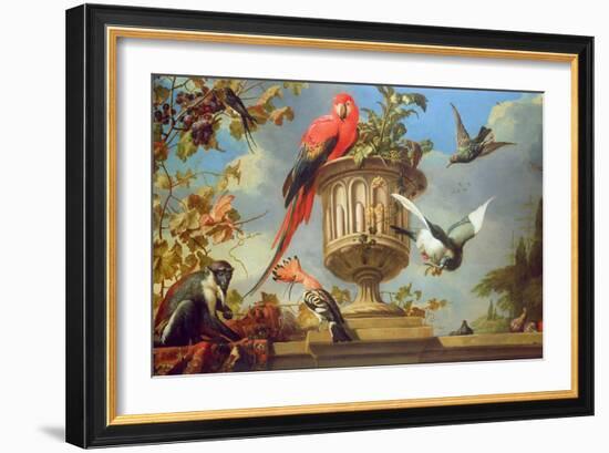 Scarlet Macaw Perched on an Urn, with Other Birds and a Monkey Eating Grapes-Melchior de Hondecoeter-Framed Giclee Print
