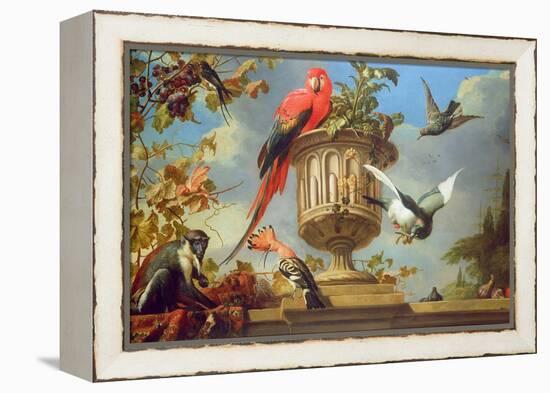 Scarlet Macaw Perched on an Urn, with Other Birds and a Monkey Eating Grapes-Melchior de Hondecoeter-Framed Premier Image Canvas