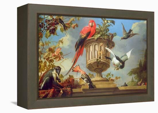 Scarlet Macaw Perched on an Urn, with Other Birds and a Monkey Eating Grapes-Melchior de Hondecoeter-Framed Premier Image Canvas