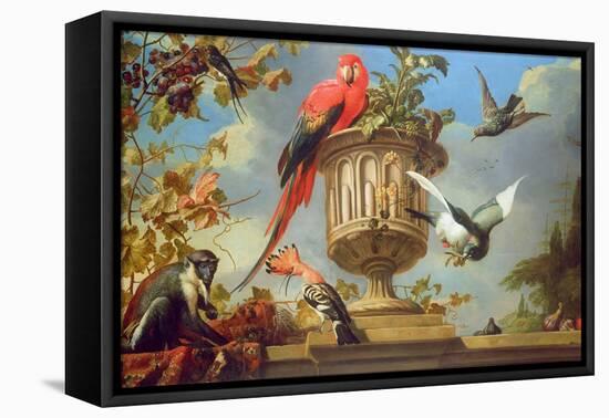 Scarlet Macaw Perched on an Urn, with Other Birds and a Monkey Eating Grapes-Melchior de Hondecoeter-Framed Premier Image Canvas