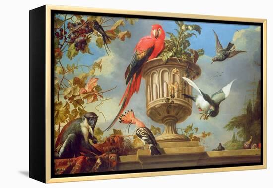 Scarlet Macaw Perched on an Urn, with Other Birds and a Monkey Eating Grapes-Melchior de Hondecoeter-Framed Premier Image Canvas