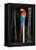 Scarlet Macaw's Feathers-Howard Ruby-Framed Premier Image Canvas