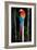 Scarlet Macaw's Feathers-Howard Ruby-Framed Photographic Print
