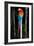 Scarlet Macaw's Feathers-Howard Ruby-Framed Photographic Print